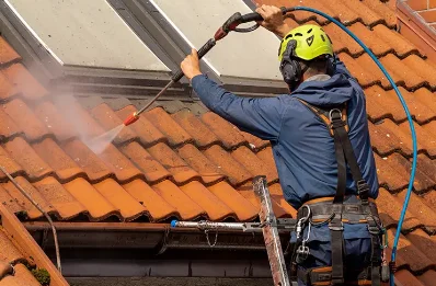 Démoussage et hydrofuge de toiture à Sarrance